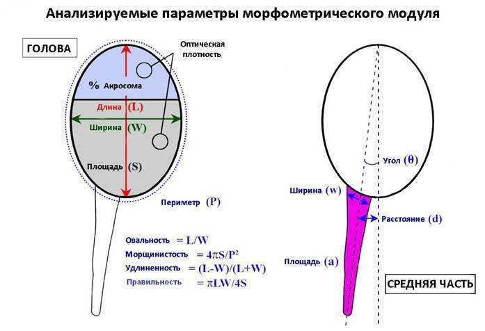 13fa6202c29ee02a751aabebbb7bcb7f.jpg